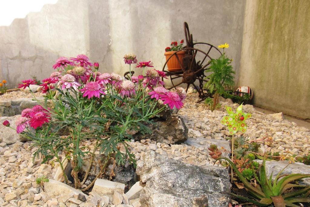Villa Novo Zadar Eksteriør bilde